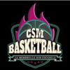 CSM BASKETBALL LA MEMBROLE SUR CHOISILLE partenaire fonds de dotation tmb basket tours 37